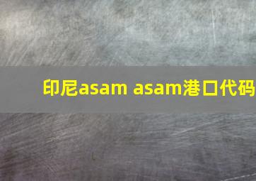 印尼asam asam港口代码